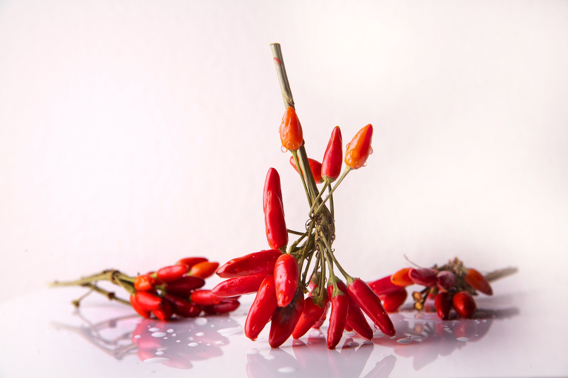 Hot chili food