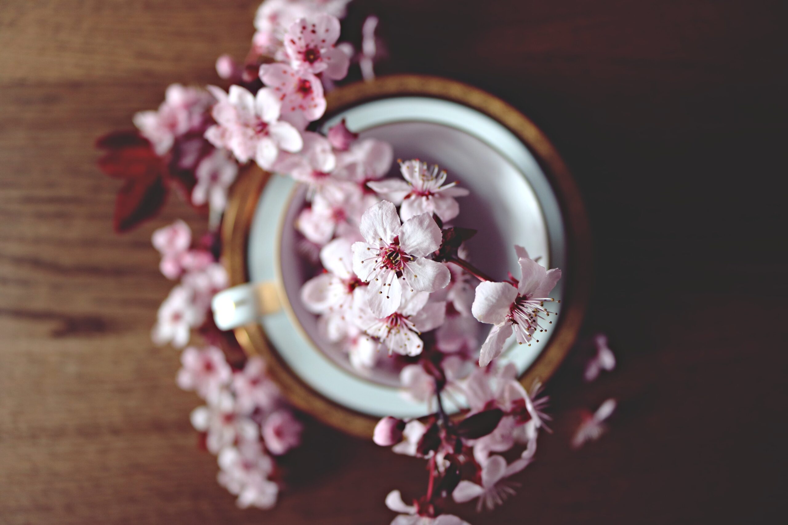 Effortless Spring Cleaning Hack Tips Revealed
